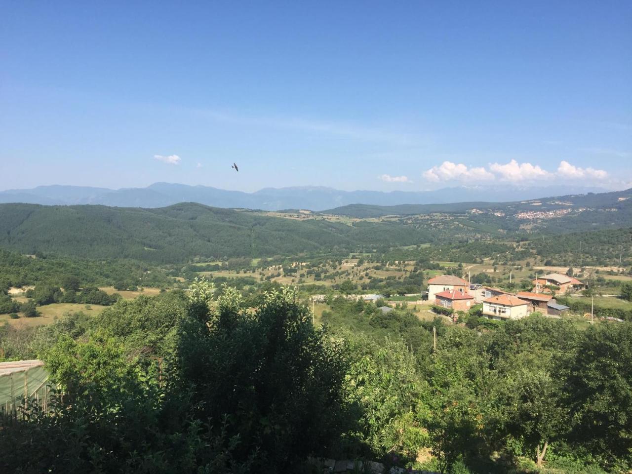 Guest House Agush Kribul Εξωτερικό φωτογραφία