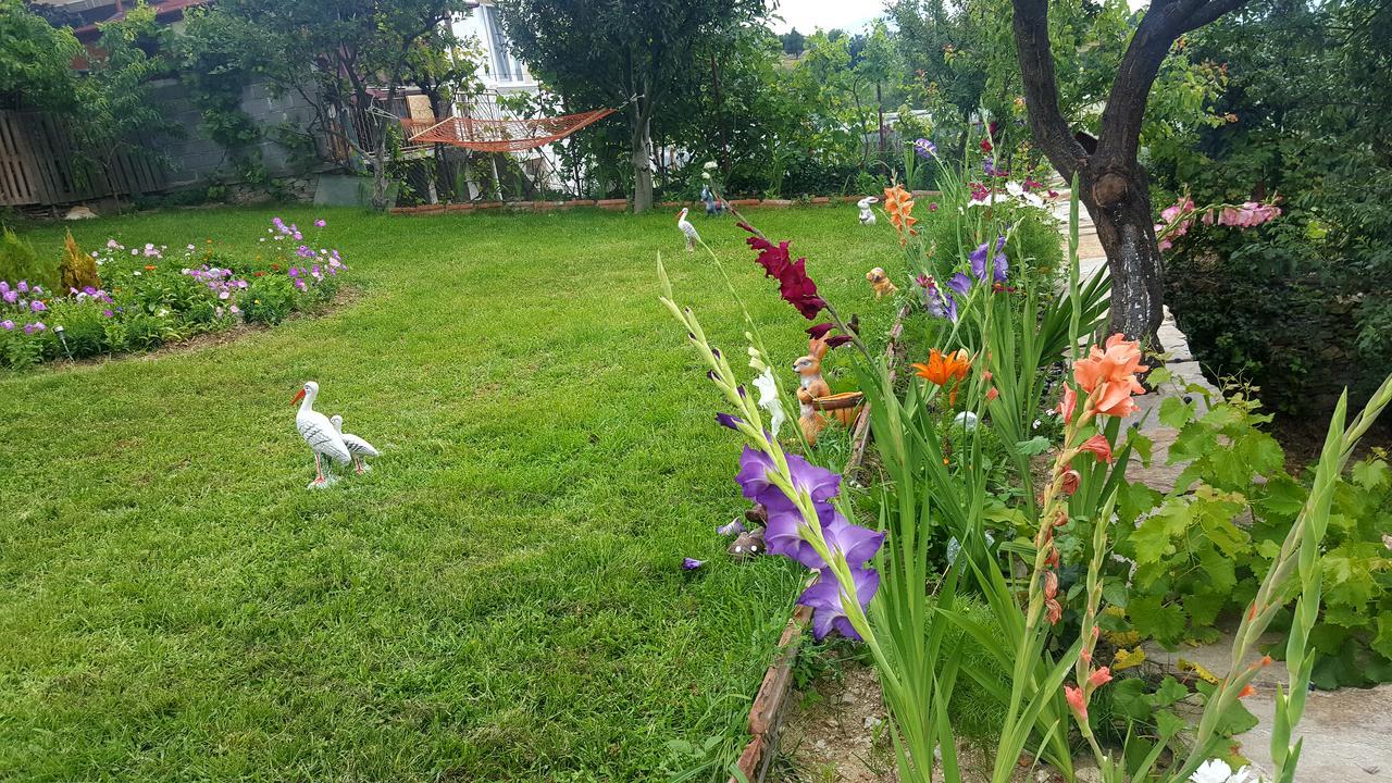 Guest House Agush Kribul Εξωτερικό φωτογραφία