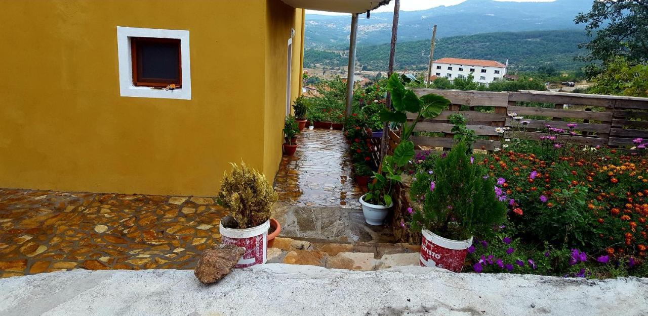 Guest House Agush Kribul Εξωτερικό φωτογραφία