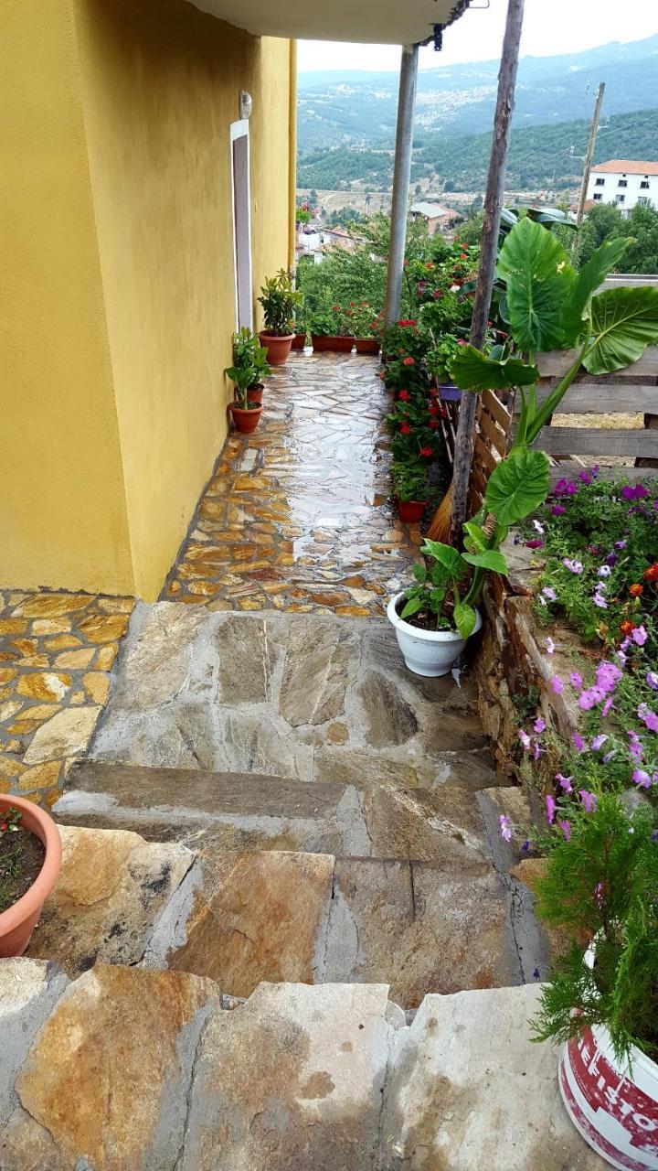 Guest House Agush Kribul Εξωτερικό φωτογραφία