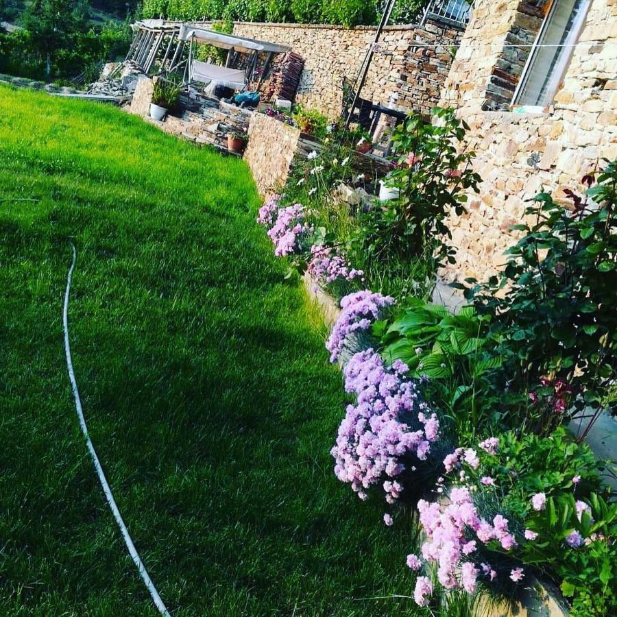 Guest House Agush Kribul Εξωτερικό φωτογραφία