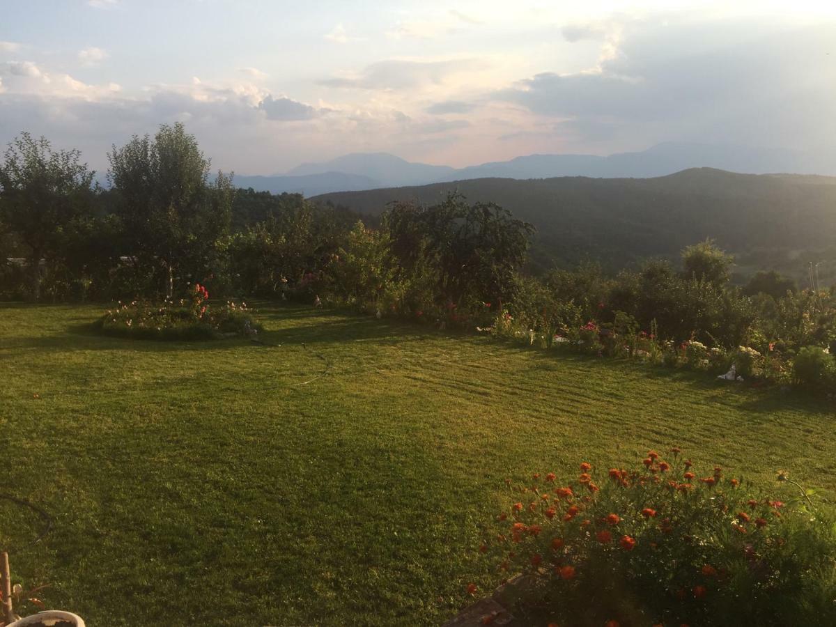 Guest House Agush Kribul Εξωτερικό φωτογραφία