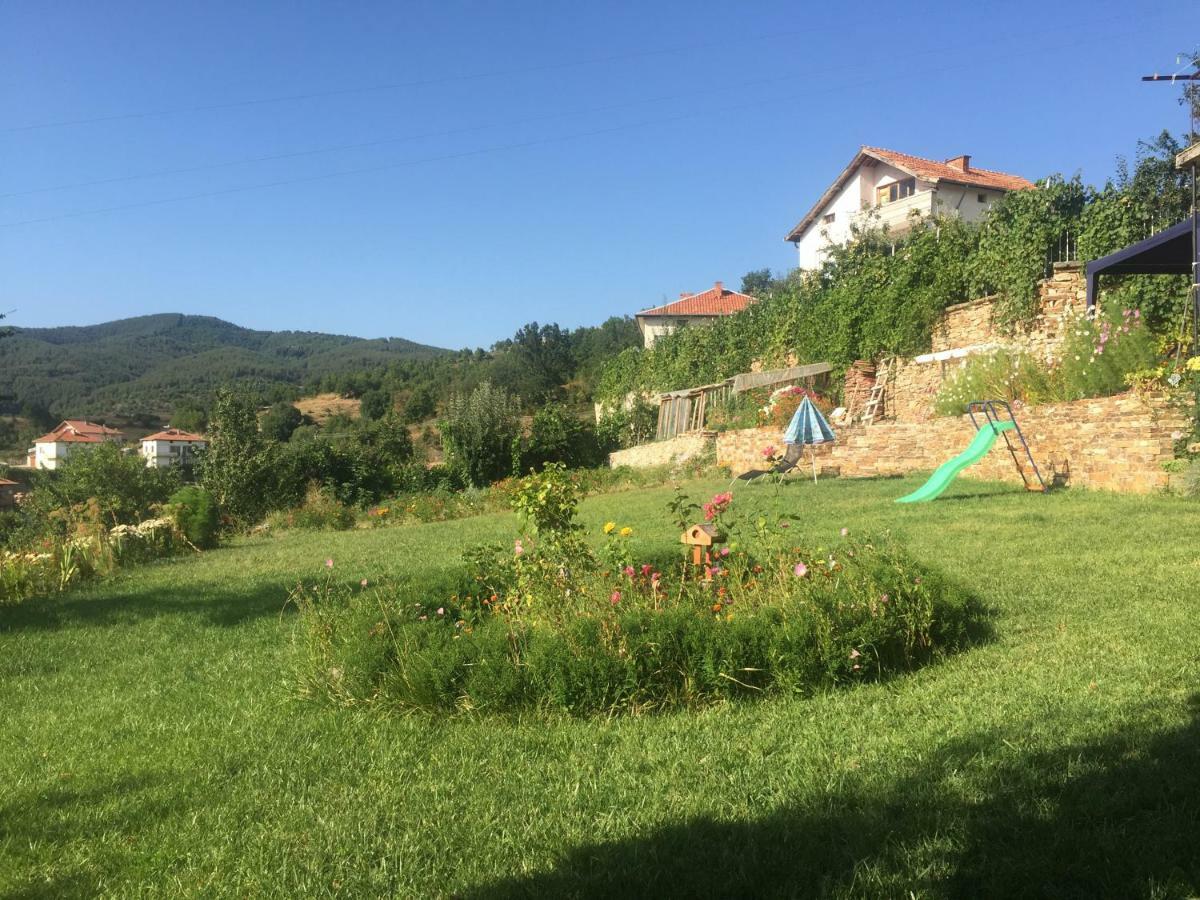 Guest House Agush Kribul Εξωτερικό φωτογραφία